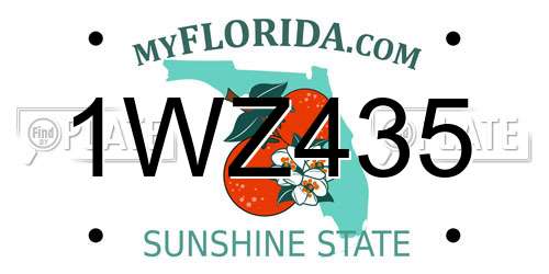 1WZ435 Florida License Plate