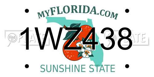 1WZ438 Florida License Plate