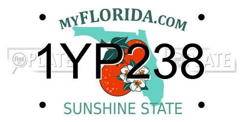 1YP238 Florida License Plate