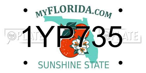 1YP735 Florida License Plate