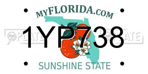 1YP738 Florida License Plate