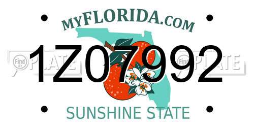 1Z07992 Florida License Plate