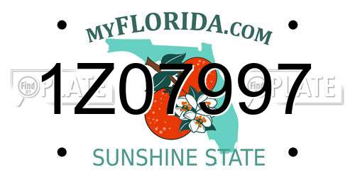 1Z07997 Florida License Plate