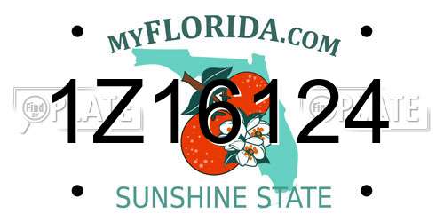 1Z16124 Florida License Plate