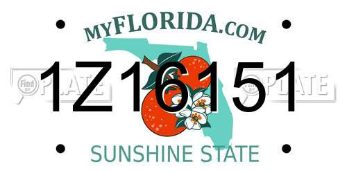 1Z16151 Florida License Plate