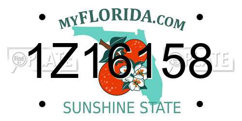 1Z16158 Florida License Plate