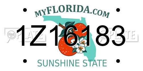 1Z16183 Florida License Plate