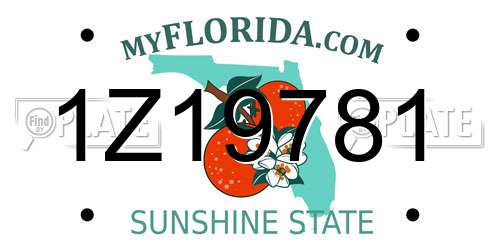 1Z19781 Florida License Plate