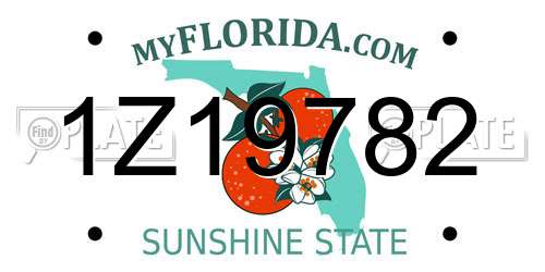 1Z19782 Florida License Plate