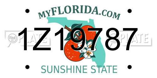 1Z19787 Florida License Plate