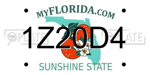 1Z20D4 Florida License Plate