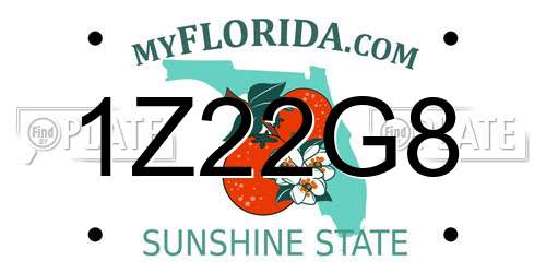 1Z22G8 Florida License Plate