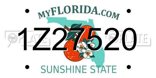 1Z27520 Florida License Plate