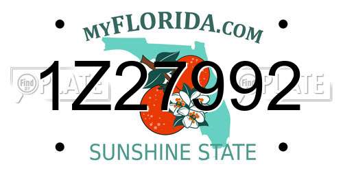 1Z27992 Florida License Plate