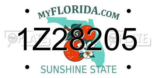 1Z28205 Florida License Plate