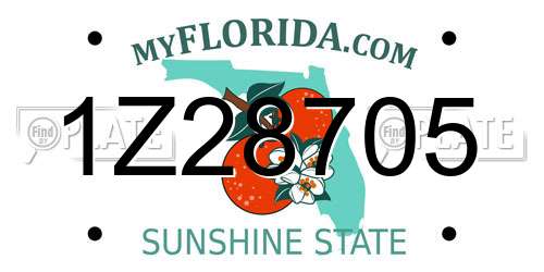 1Z28705 Florida License Plate