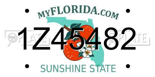 1Z45482 Florida License Plate