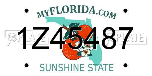 1Z45487 Florida License Plate