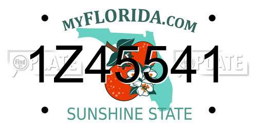 1Z45541 Florida License Plate