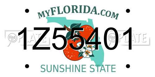 1Z55401 Florida License Plate