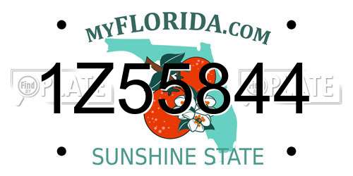1Z55844 Florida License Plate