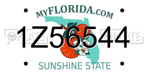 1Z56544 Florida License Plate