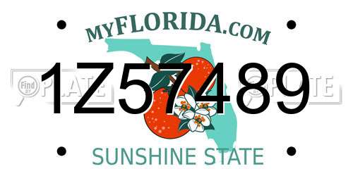 1Z57489 Florida License Plate