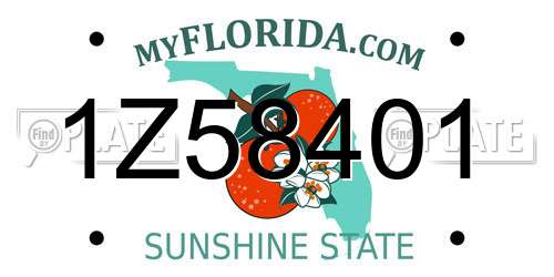 1Z58401 Florida License Plate
