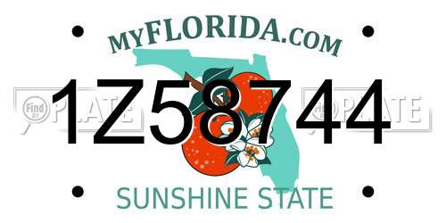 1Z58744 Florida License Plate