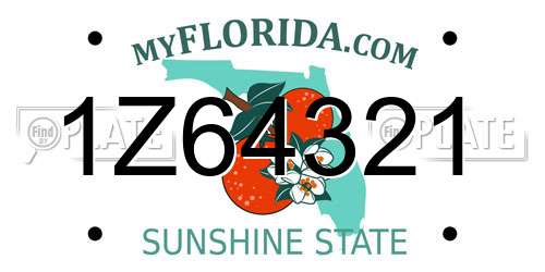 1Z64321 Florida License Plate