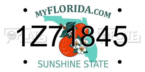 1Z71845 Florida License Plate