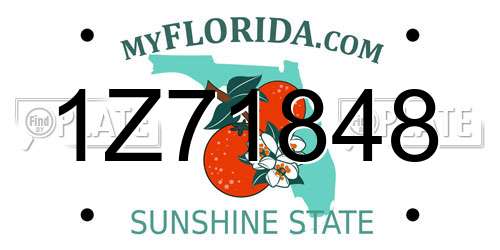 1Z71848 Florida License Plate