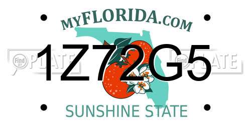 1Z72G5 Florida License Plate