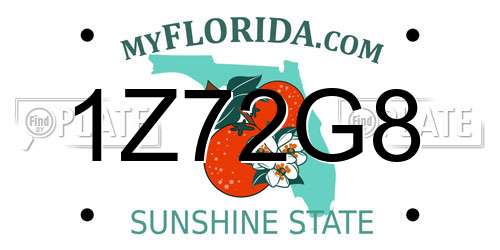 1Z72G8 Florida License Plate