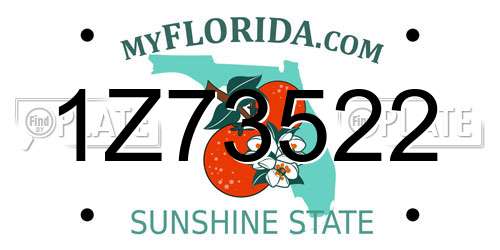 1Z73522 Florida License Plate