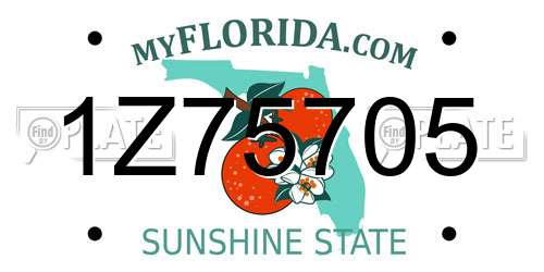 1Z75705 Florida License Plate