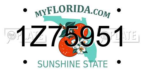 1Z75951 Florida License Plate