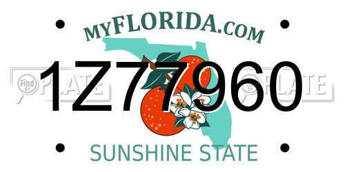 1Z77960 Florida License Plate