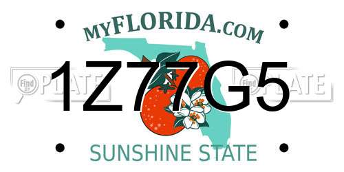 1Z77G5 Florida License Plate