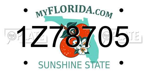 1Z78705 Florida License Plate
