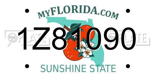 1Z81090 Florida License Plate