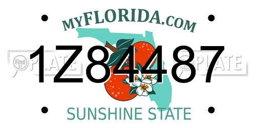 1Z84487 Florida License Plate