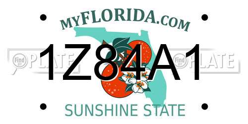 1Z84A1 Florida License Plate