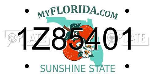 1Z85401 Florida License Plate