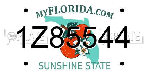 1Z85544 Florida License Plate