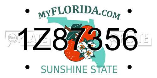 1Z87356 Florida License Plate