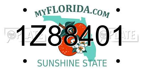 1Z88401 Florida License Plate