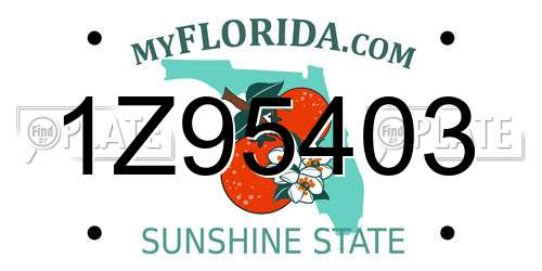 1Z95403 Florida License Plate