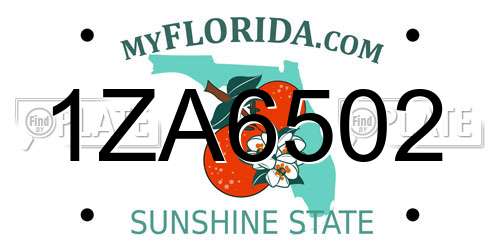 1ZA6502 Florida License Plate