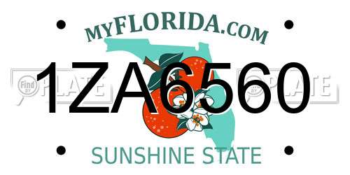 1ZA6560 Florida License Plate